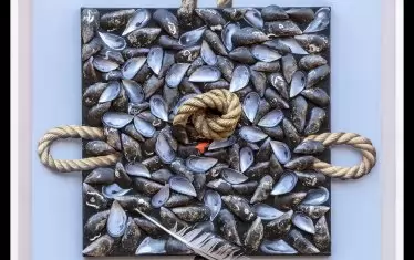 „Натюрморт с миди“