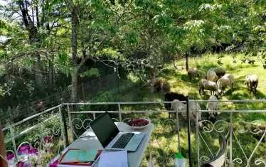 Селската идилия, в която Бешлийска пише "Глина".