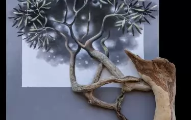 „Маслиново дърво III“