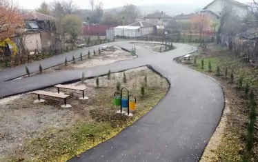 Има надежда, че когато израстат, дръвчетата ще облагородят обекта.