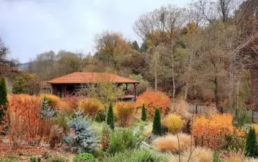 Градината се разлива като цветна вълна.