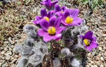 И още красота...