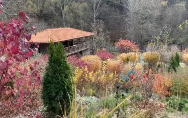 Есента е велик художник.