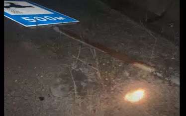 Рали пилотът Димитър Илиев пусна видео анализ на трагедията на Струма