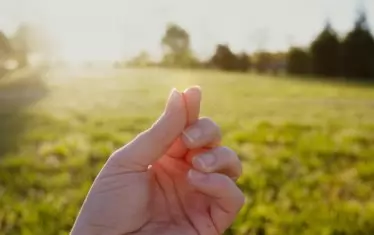 "Заради вашето маловерие! Защото истина ви казвам: Ако имате вяра колкото синапово зърно, ще речете на тази планина: Премести се от тук там, и тя ще се премести; и нищо няма да е невъзможно за вас."
Евангелие от Матея, 17:20