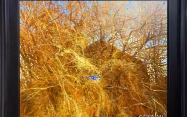 Синьото око в картината липсва на снимката, качена на сайта на „Арте“ - изглежда художникът го е добавил в последния момент.