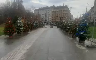 Единственият кът в района на НДК, където има малко повече празнично настроение, е създаден от частна организация.
