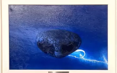 Ако дойдат някога, Те ще излязат откъм страната 
на Камъка, в който живеят от самото начало
и от чийто тайници и пролуки така ненатрапливо
наблюдават света.