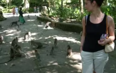  В Индонезия 