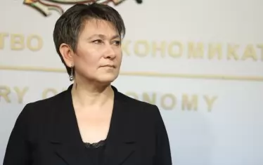 Министърът на икономиката Даниела Везиева се проверява за плагиатство