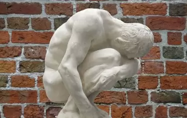  Радев да намали лицевите опори!