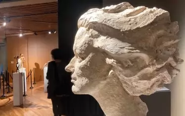 Женска глава VIII