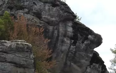  Главата в парк “Градище“.