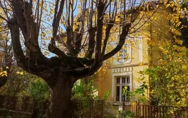 Романтика от Вършец.