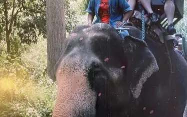 С правнука на Корней Чуковски - Дмитрий, на разходка със слон в Тайланд през 2007 г.