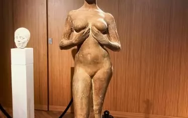 Женска фигура