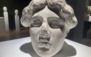 Женска глава XI