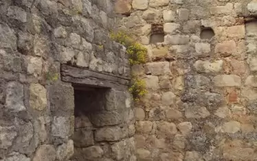  Една от бойниците.