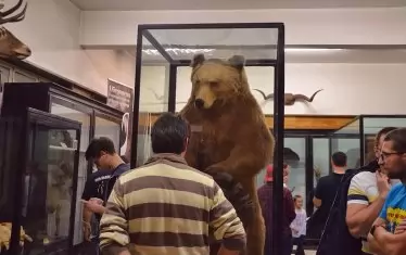 Природонаучният е един от най-старите музеи у нас.