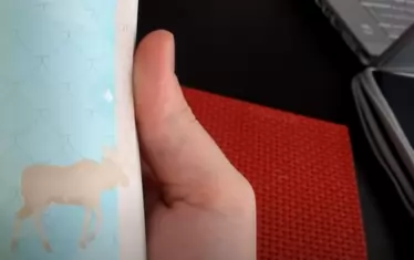 По страниците на паспортите във Финландия бяга лос.