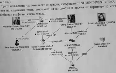 Схемата в справката, получена от ДАНС по линия на "Интерпол"