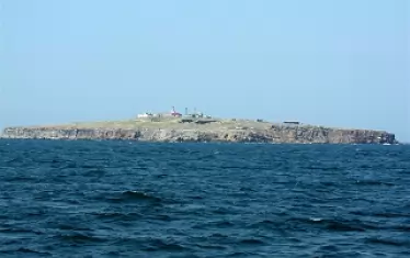 Общ поглед към Змийския остров, който е висок 41 м, има диаметър около 600 м, площ 17 хектара и обиколка на брега 4 км.