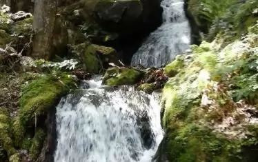 Чергата наподобява изтупана черга...