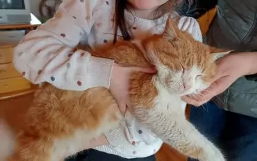 Господин Рижко в ръцете на Маша