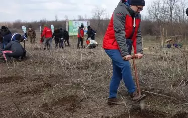 За закупен електроуред - засадено дърво
