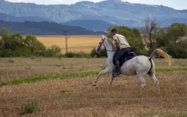 Виктор и Зара из широкия свят.