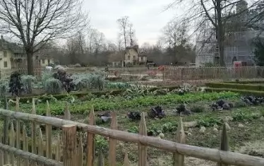  Версайските градини все още нямат чар в ранната пролет.