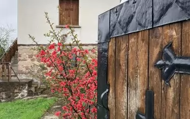  Пролетна идилия.