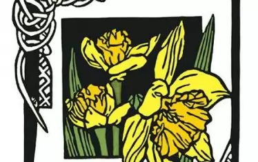 Нарцисът е символ на Уелс.