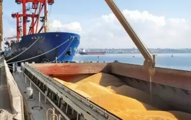 Дни наред през март митническите власти бавеха износа на зърно, за да може то да бъде продадено на държавата. Оферти за изкупуване от натовареното с тази цел дружество "Врана" още няма на Софийската стокова борса.