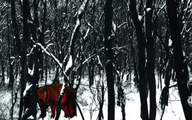 Кадър от бъдещия късометражен документално-анимационен филм.