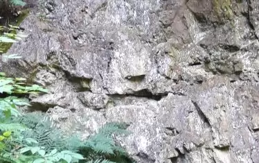 Тук почива богинята Бастет.