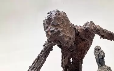 Друг поглед към залата на „Кредо Бонум“.