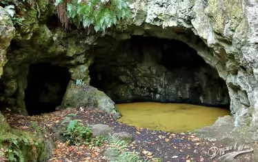 Търсенето на гробницата на Бастет започва през 1981 г.
