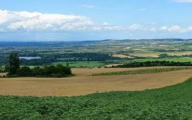 По пътя към крепостта Родостица в далечината се вижда Одрин.