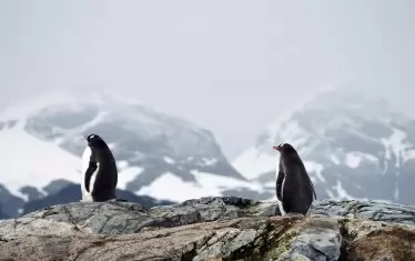 Не можете да си вземете парче скала за спомен от Северния полюс. 