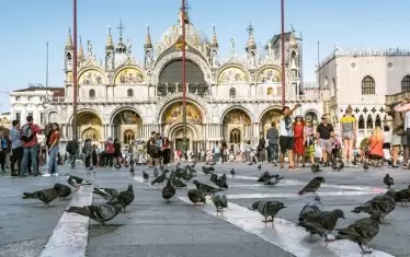 Ако ще ходите на площад "Сан Марко" във Венеция, не хранете гълъбите!