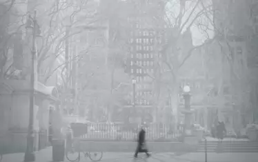  "Брайънт прак", Ню Йорк, 2004.