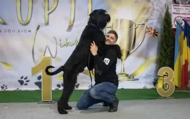 Владо с един от домашните си любимци на кучешки конкурс за красота.