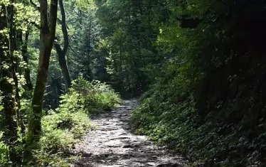 Старите римски пътища са се ползвали векове наред.
