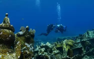 На снимките се виждат части от корпуса на галеона, обрасли с водорасли и раковини.