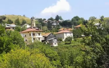 Солища е сгушено във вековна борова гора, наречена Чернока ,