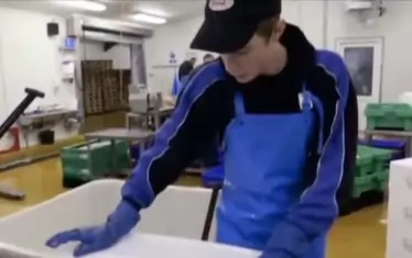 Когато работи в рибената фабрика, Йонас е обект на документален филм за обещаващите спортни таланти на Дания.