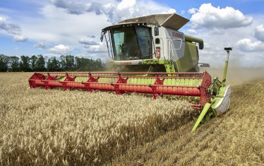 Зърнопроизводители протестират срещу евтиното украинско зърно