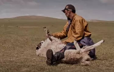 "Спомени от изтока"