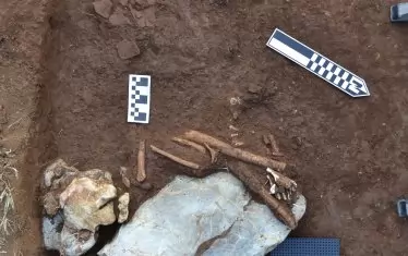 ... а по някои от костните остатъци има следи от кремация. 